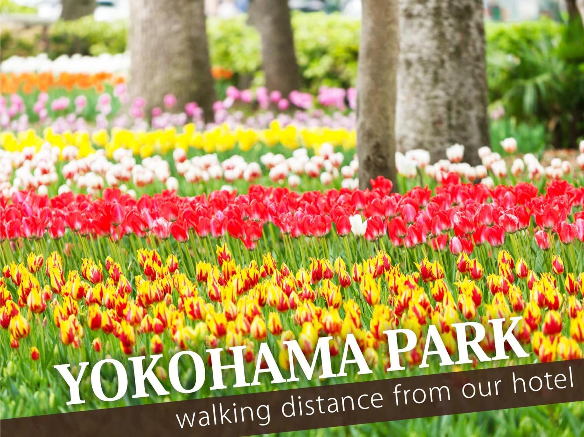 Hotel Balibali 伊勢佐木 Yokohama  Exteriör bild